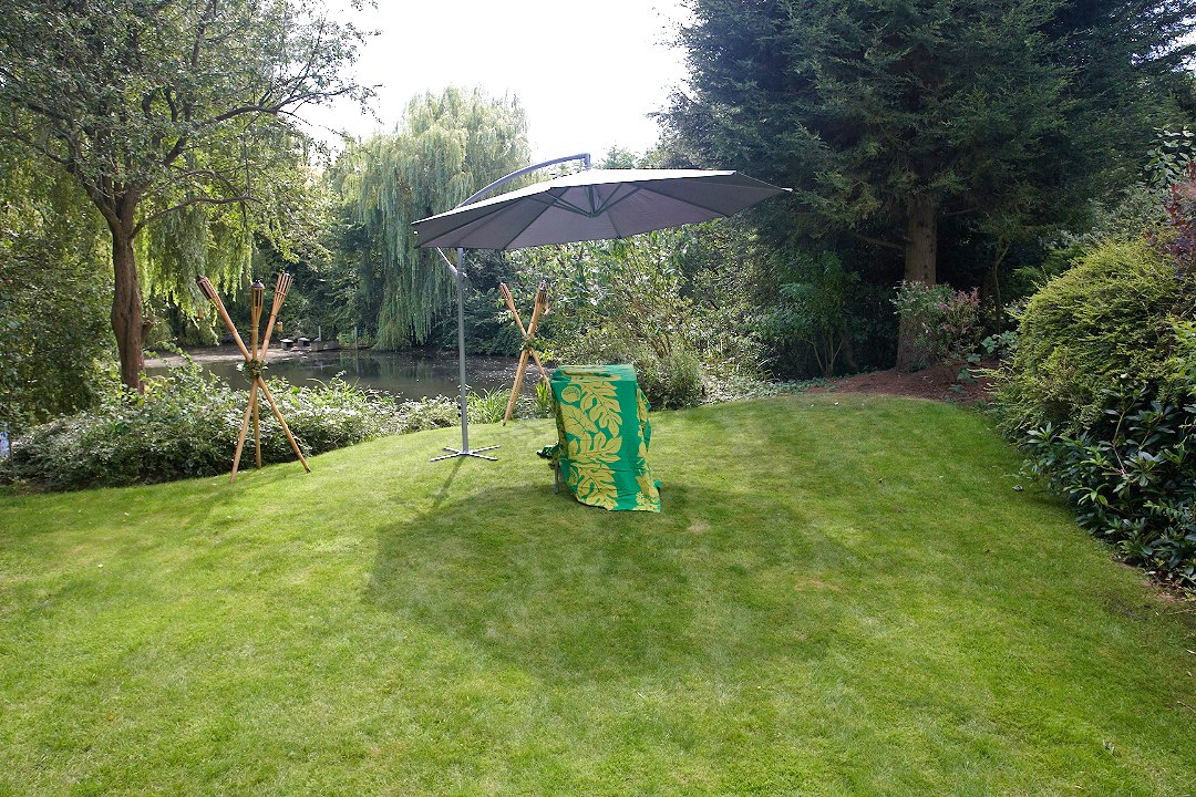 The Dog Massage Area