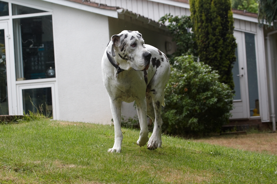 Think I'll go check this out