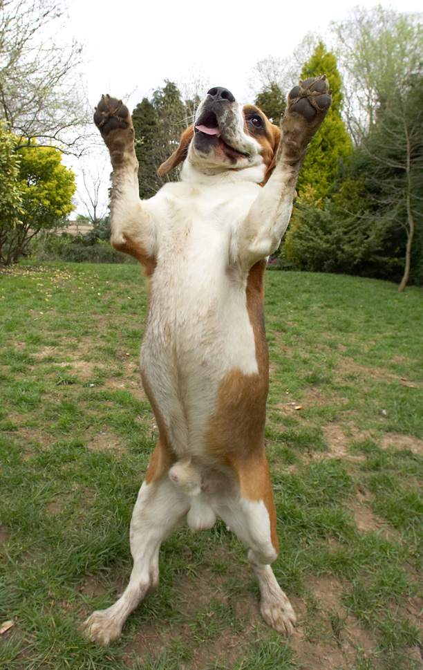 Look how tall I am!