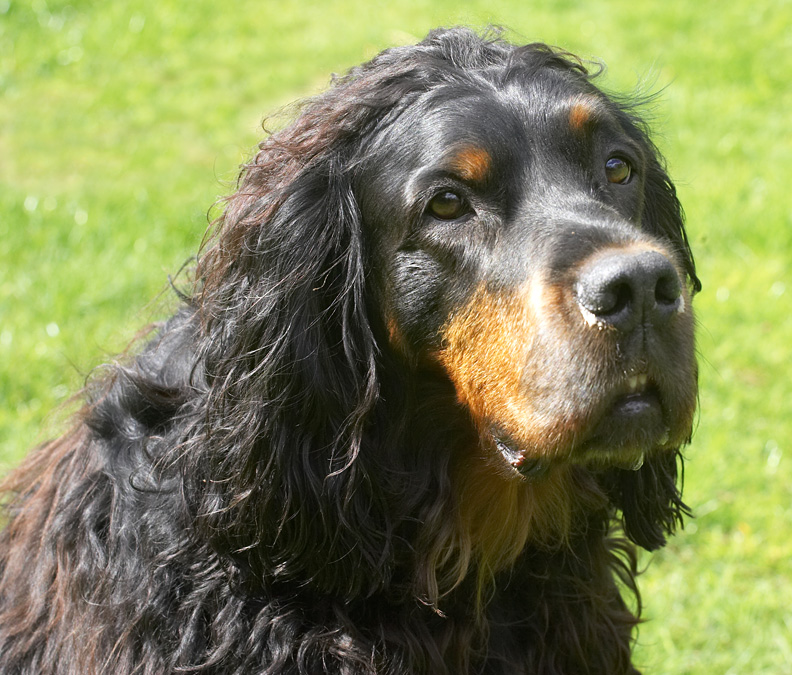 Cassie aka Molly Moe looking very regal