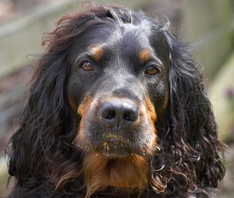 Butter wouldn't melt........... oh, it's peanut butter