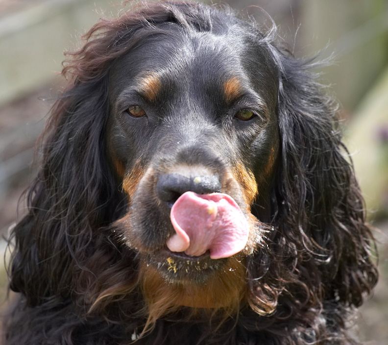 Molly Moe really enjoying the peanut butter