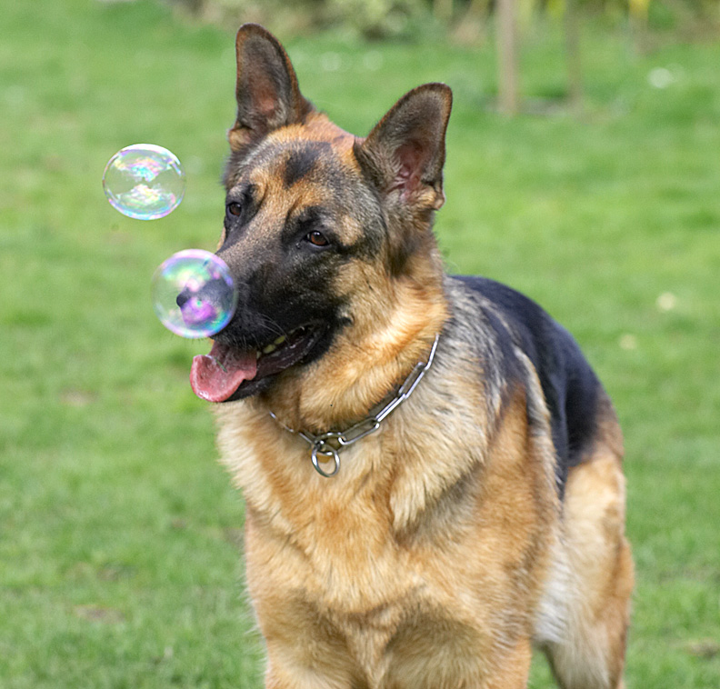Paulo and the Bubbles
