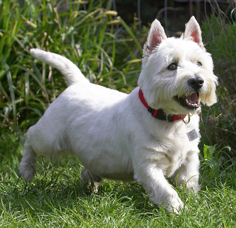 My favourite activity - mark and then spread it as far as I can