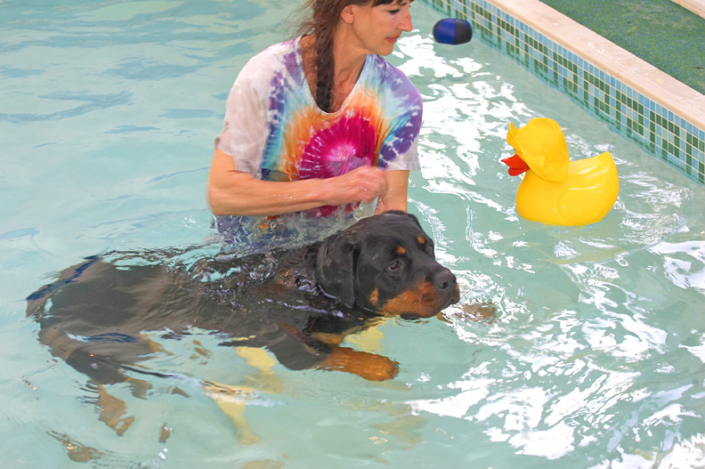 Ronan Having A Swim