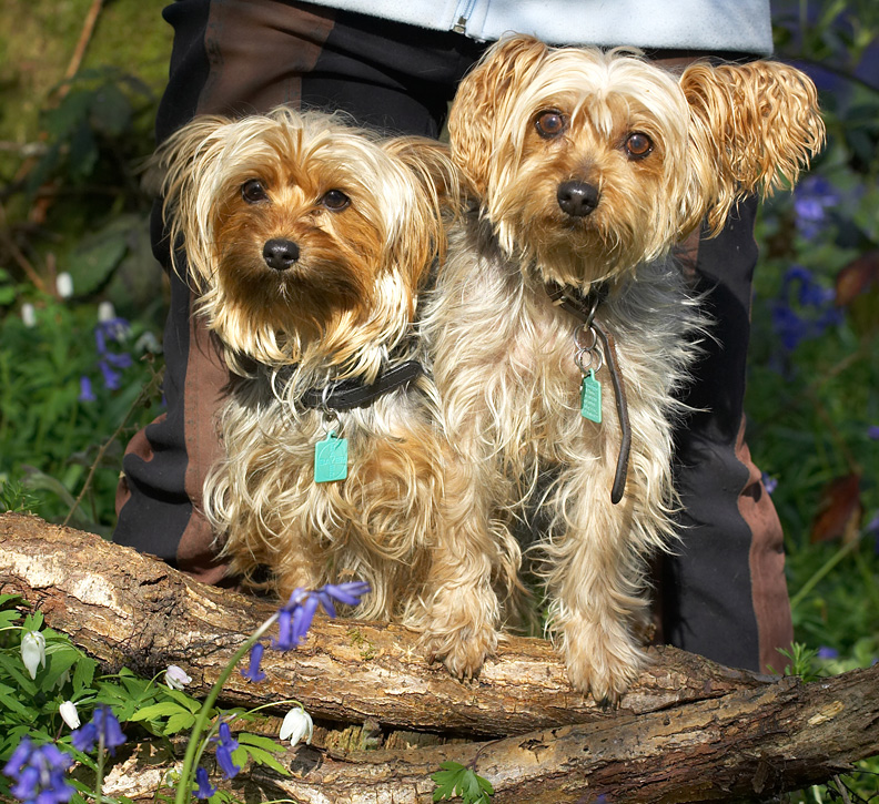 Too cute!