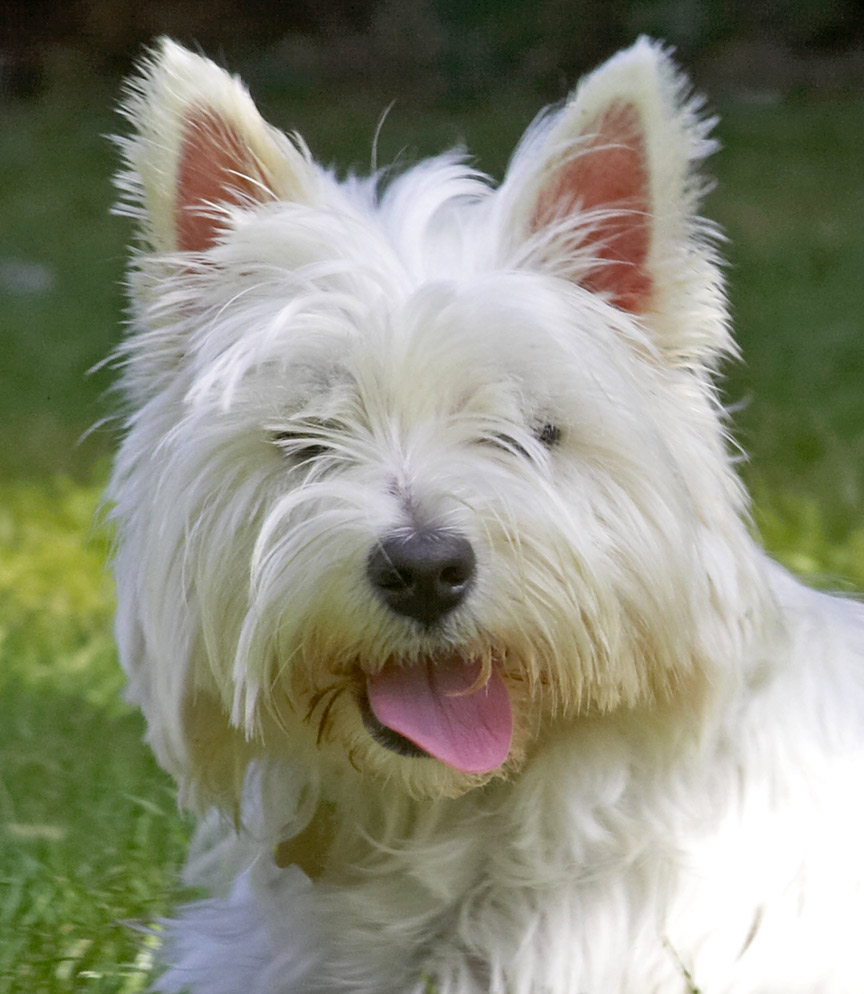 Who's a pretty girl then!