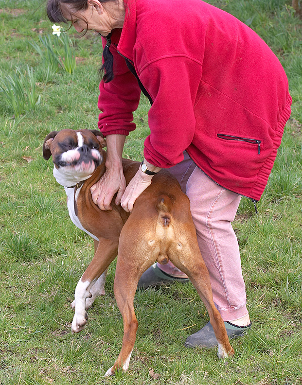 Marjorie and Dave the Dog