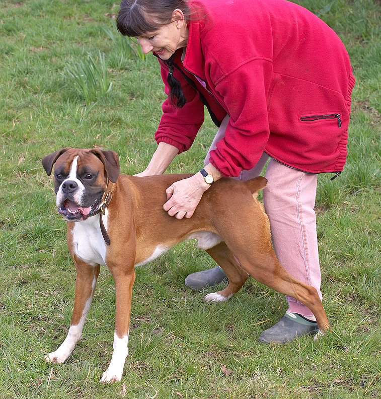 Marjorie and Dave the Dog