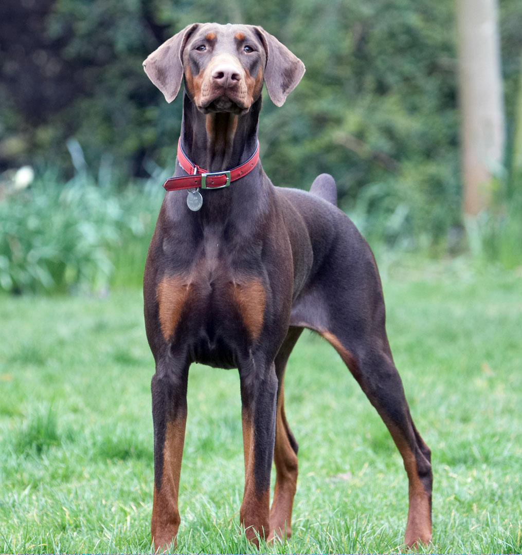 Wot's going on over there??