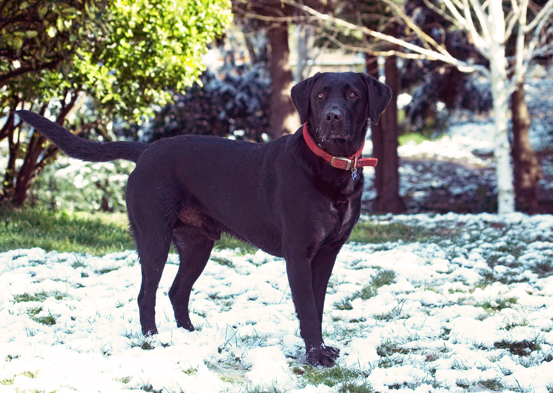 I'm not sure about this