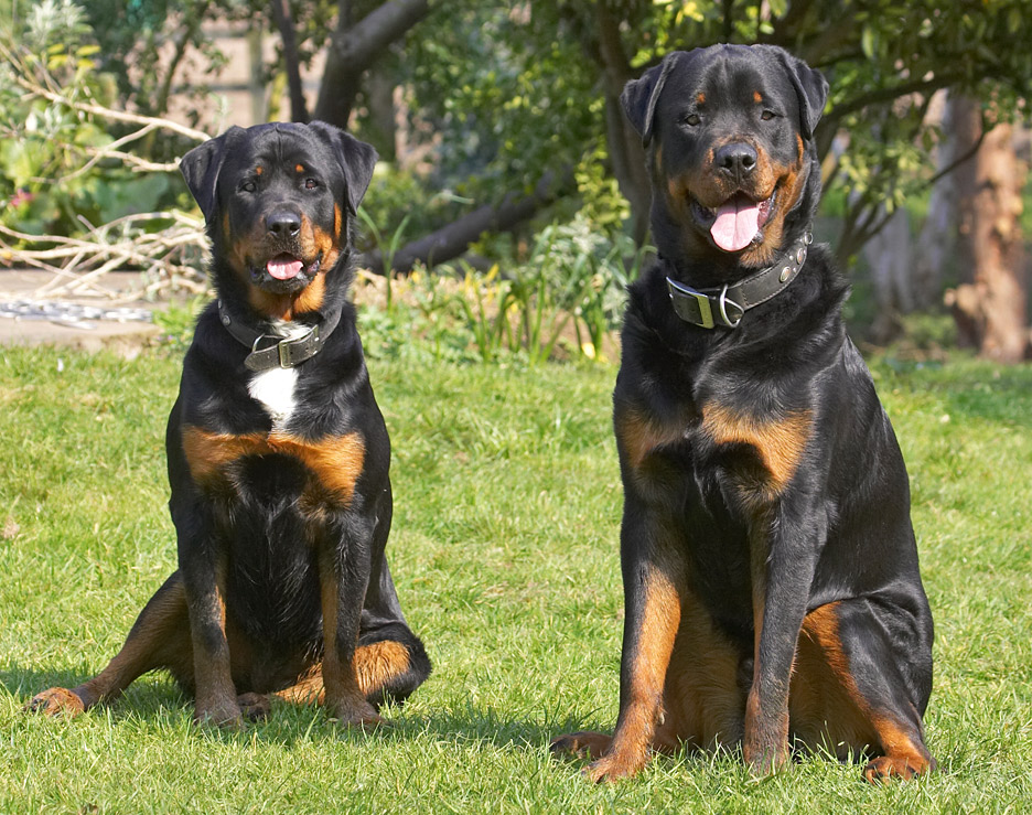 Look, Mommy, we're really well behaved