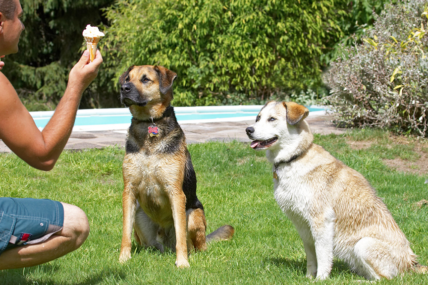 Goody, ice cream