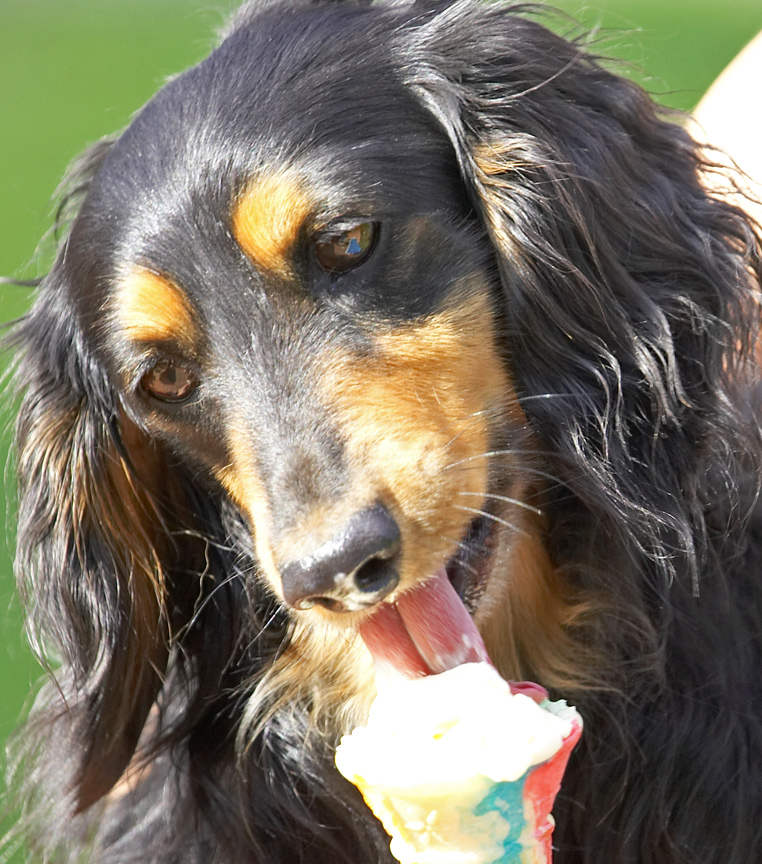 Yummy - ice cream