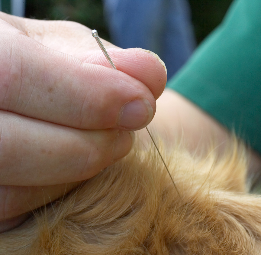 Wow, that needle is big