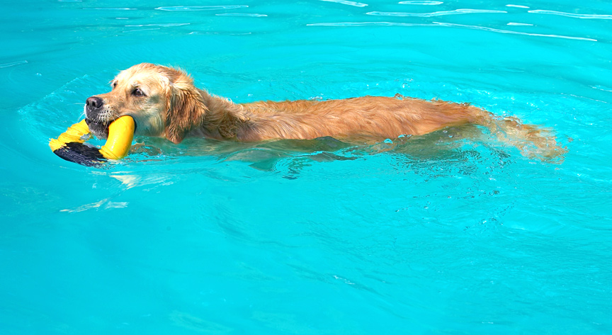 And another successful retrieve