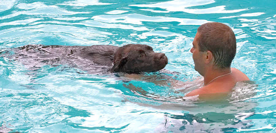 I think I'm getting the hang of this