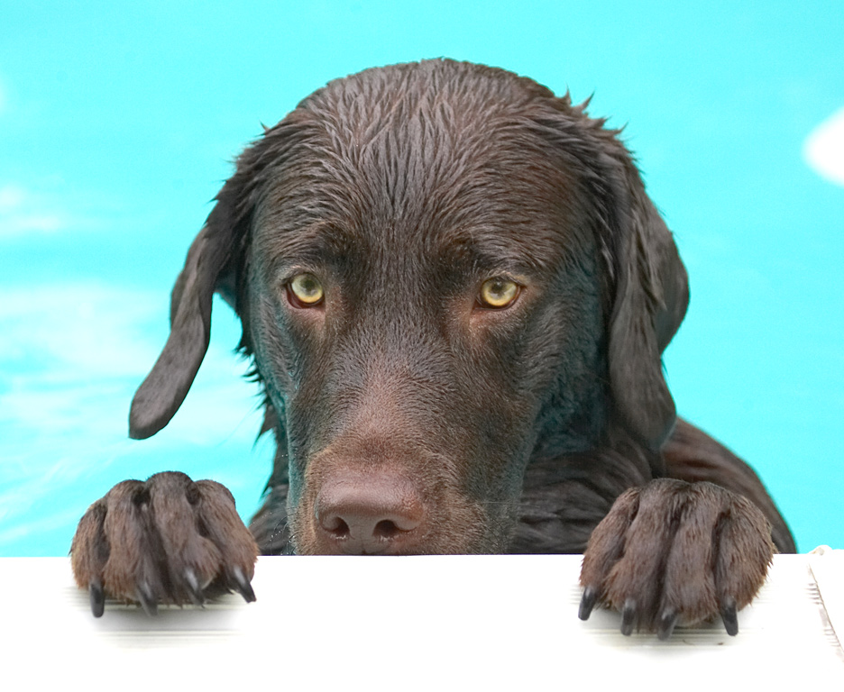 Aah, I've gone all camera shy