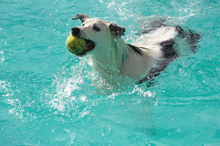 This is my Loch Ness impression