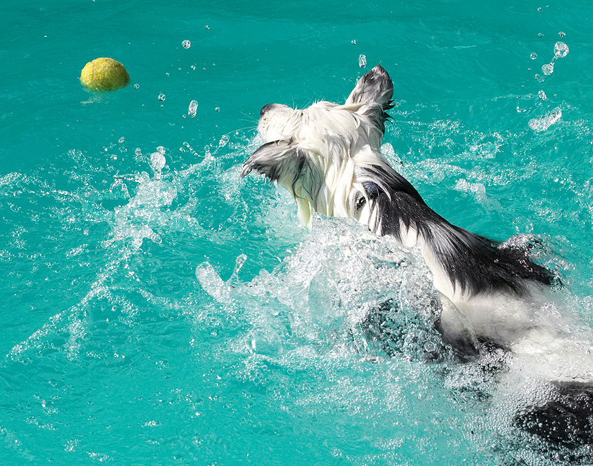 I might not have been sure of the swimming but I know how to play ball