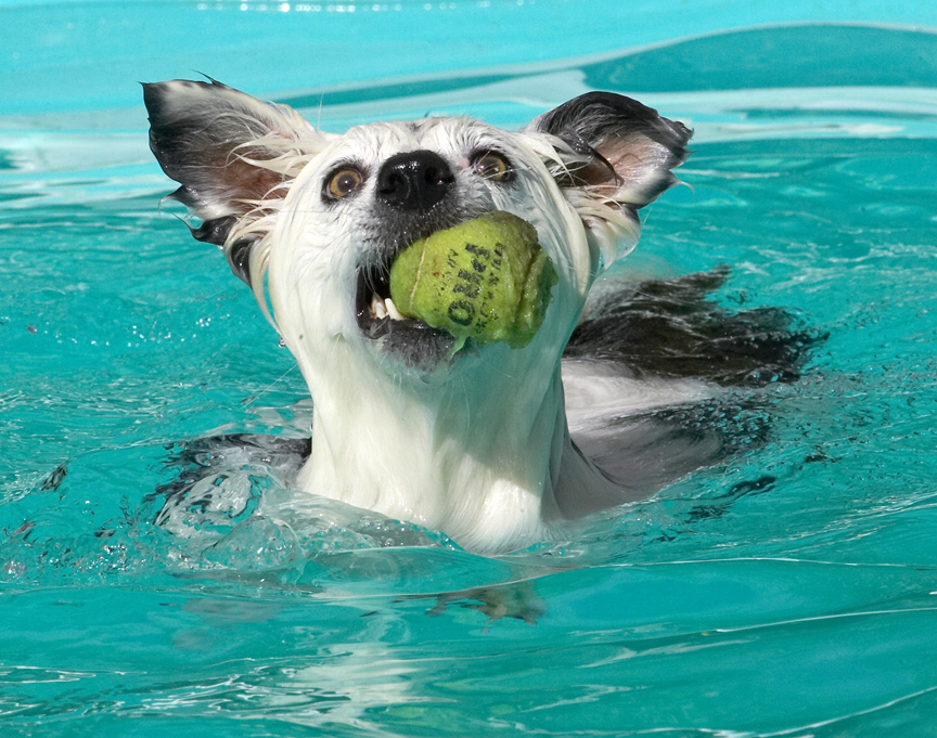 I'm having a whale of a time