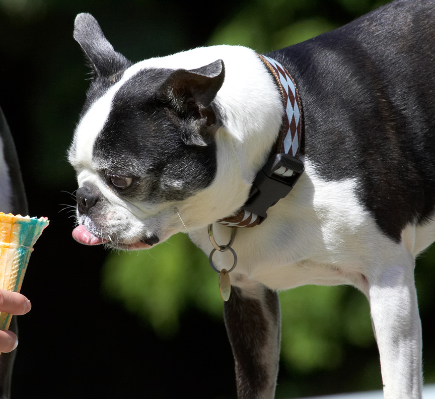 Is there any ice cream left in there?