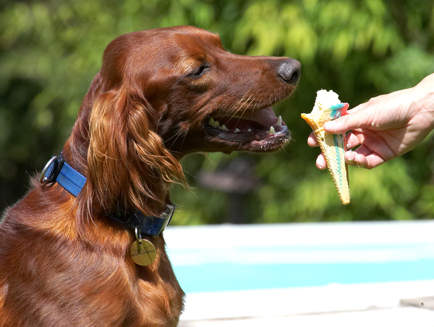 Shall I take a big bite?