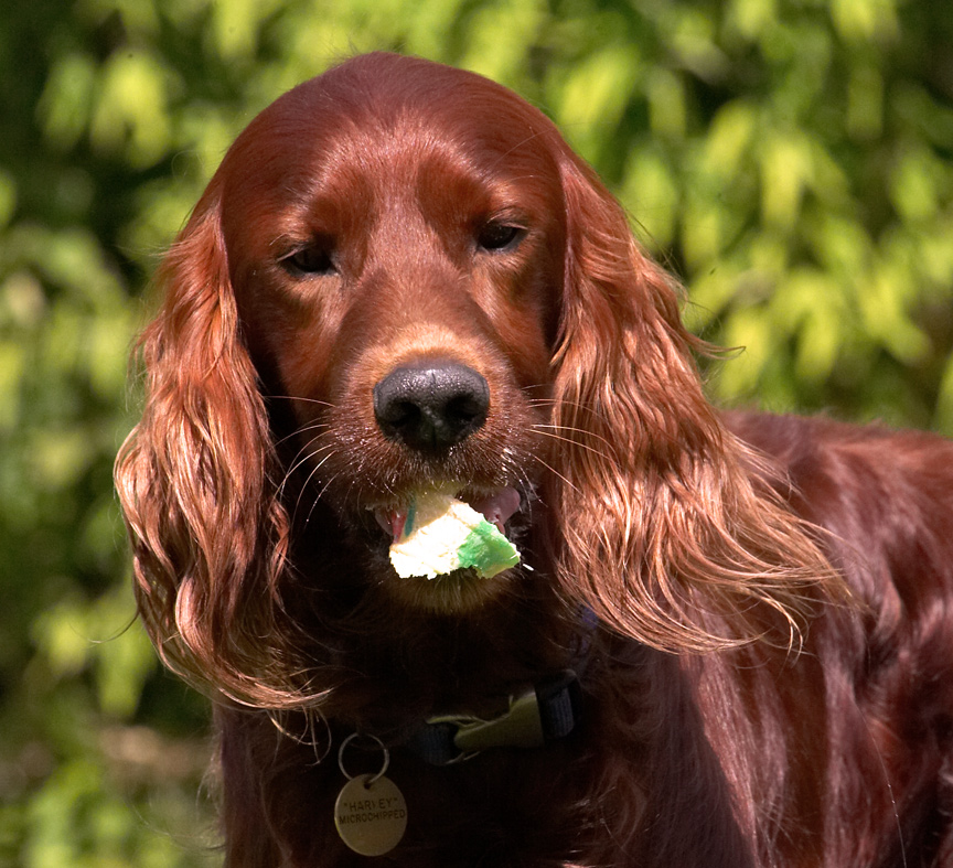 Oooh, that was a big bite