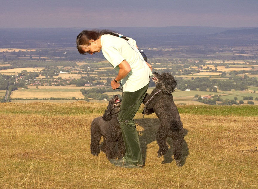 Hey guys, we've got her all wrapped up