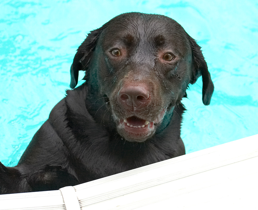 Hey, Wilson, why dontya come in for a dip?