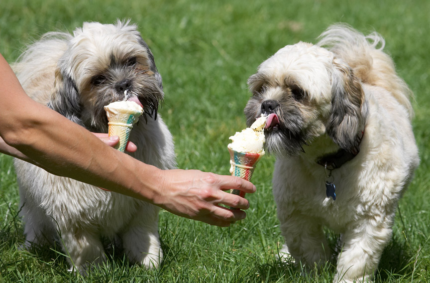 Hey, all kids love ice cream