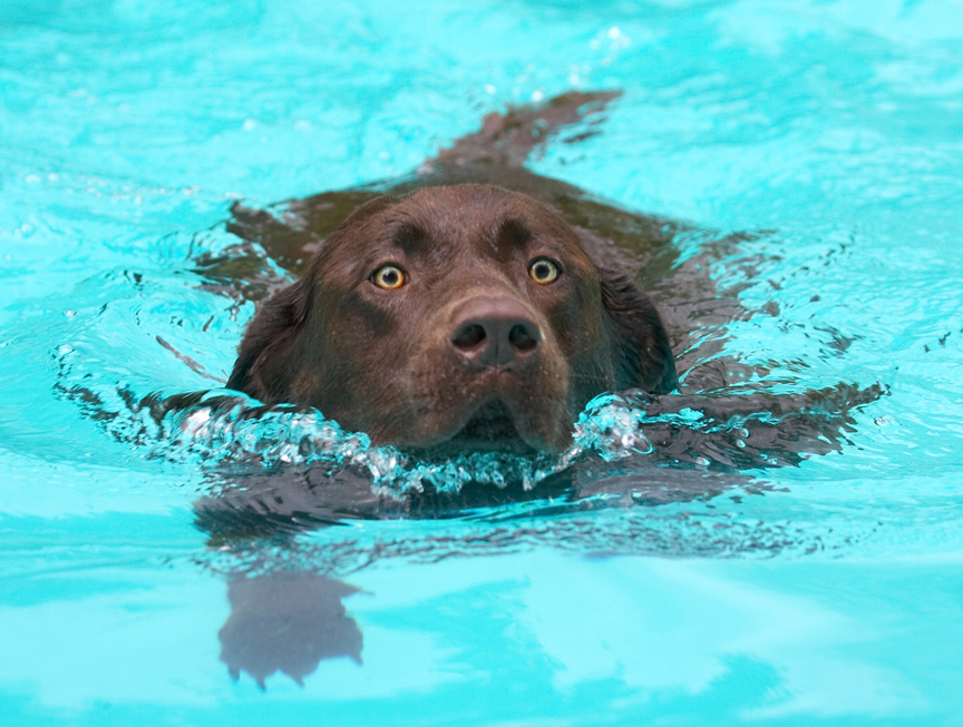 Look, Mom, I can swim