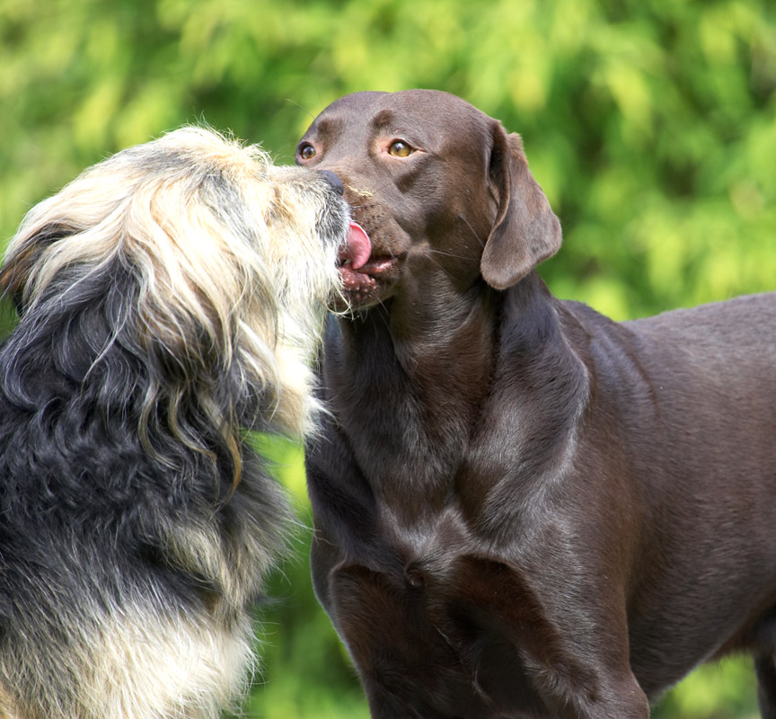 Brotherly love