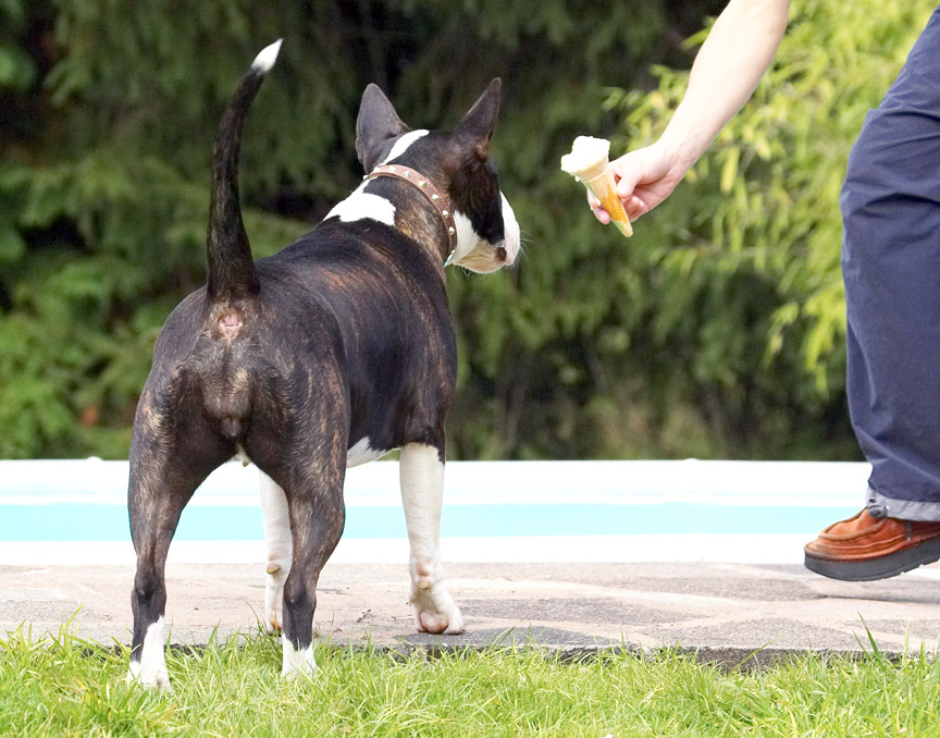Oh, look waitress service
