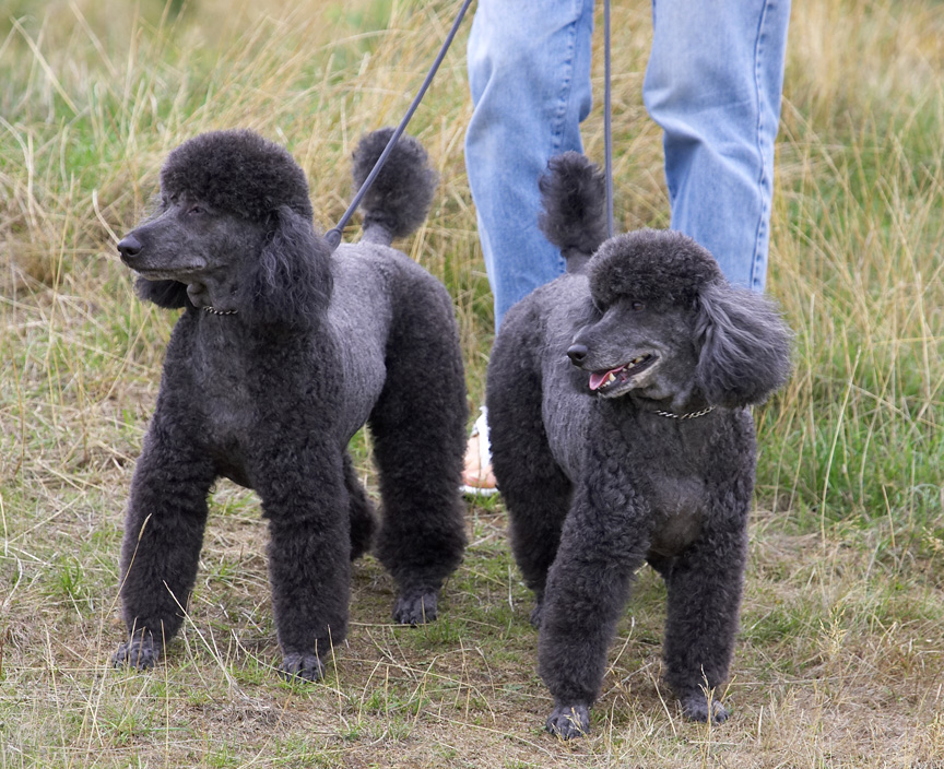 This is us showing off our new haircut