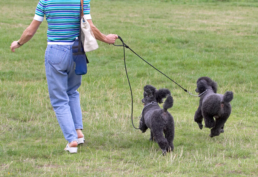 Oh, goody, we're going for a run
