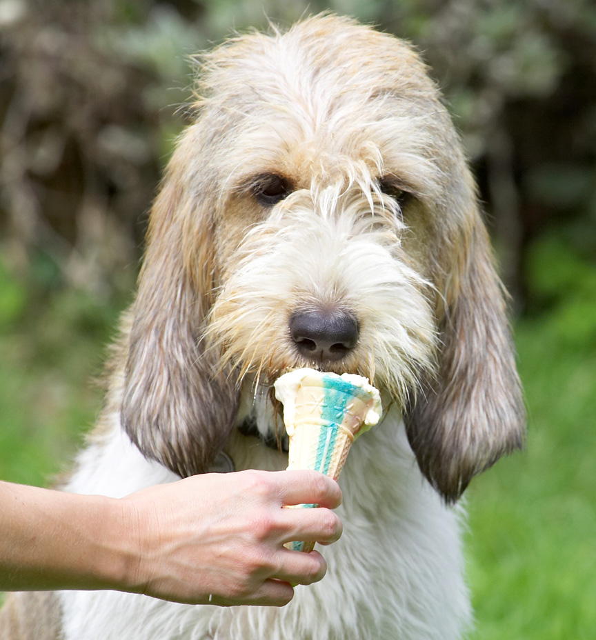 This is gonna keep me quiet for a while