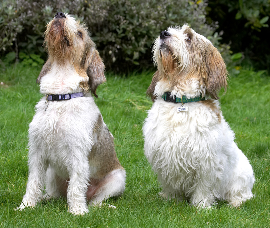 Look, we're behaving impeccably