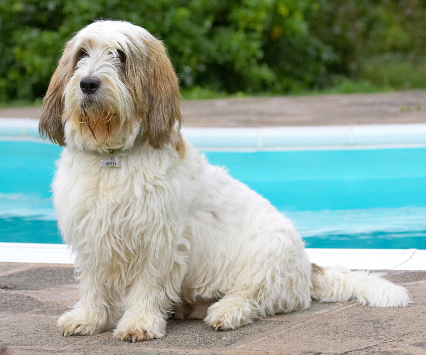 I am sooooo well behaved