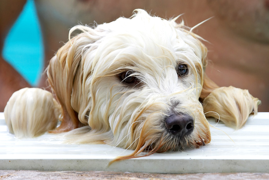 Hey, every boy needs a break now and then