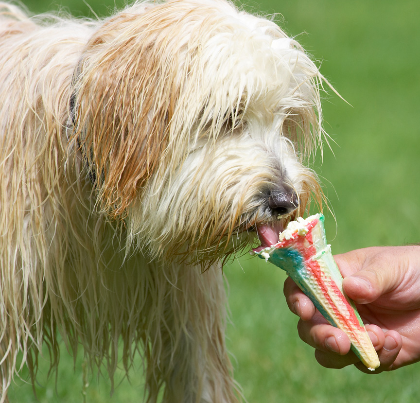 Hey, this is yummy