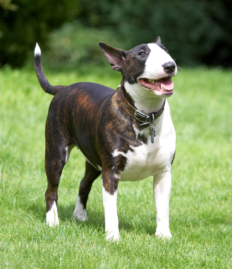 Hey, that was a good joke