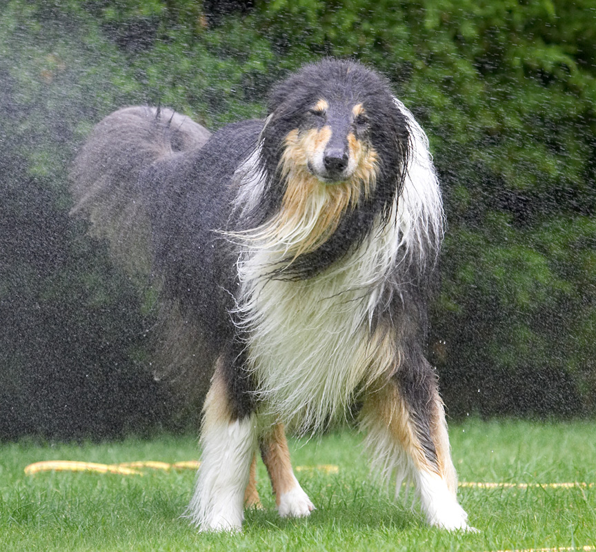 How d'ya expect me to catch a mist?!