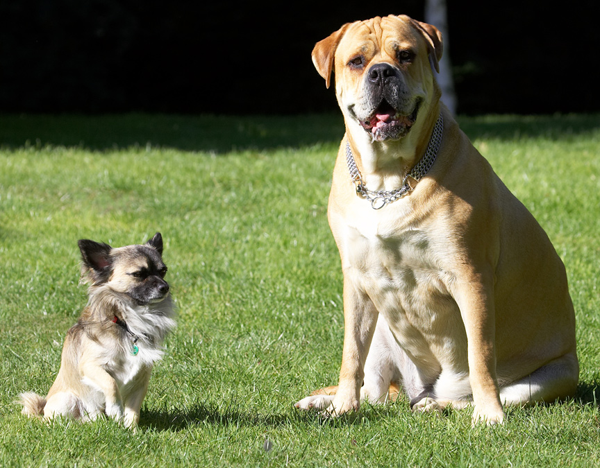 The odd couple