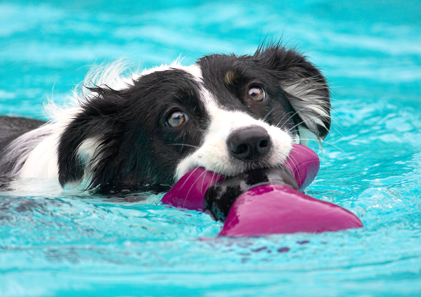 I'm good at retrieving aren't I!