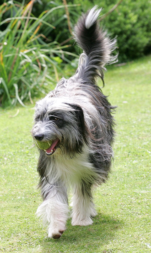 Nell in the Garden