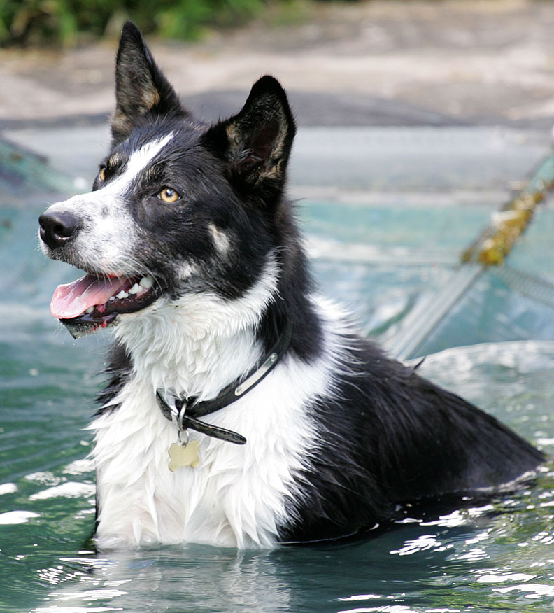Harvey Cooling Off