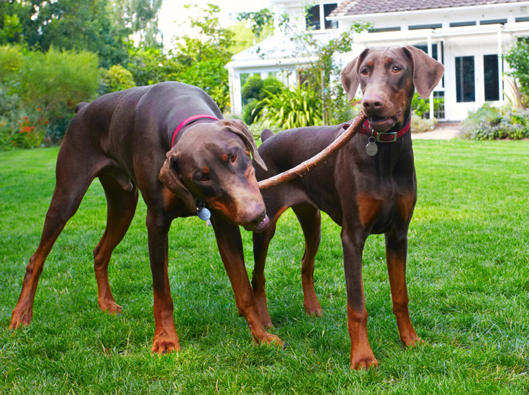 I'm holding on to my end