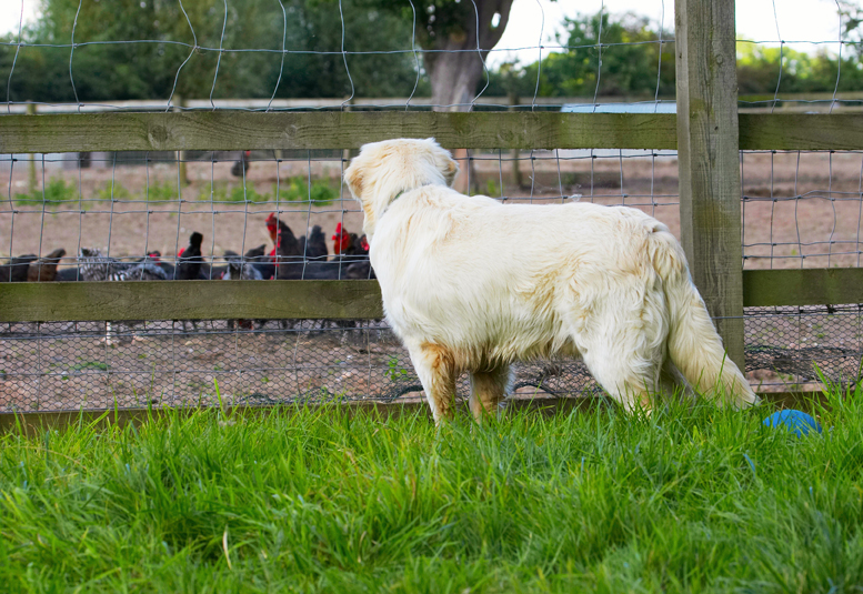 Oooh, they're all having a meeting