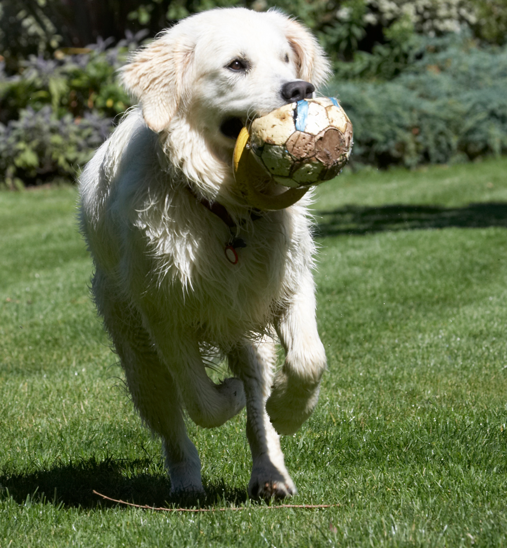 ............... with this ball